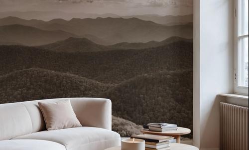 Blue Ridge Mountains II