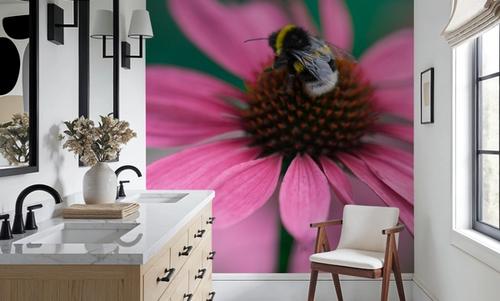 Echinacea & Bumblebee