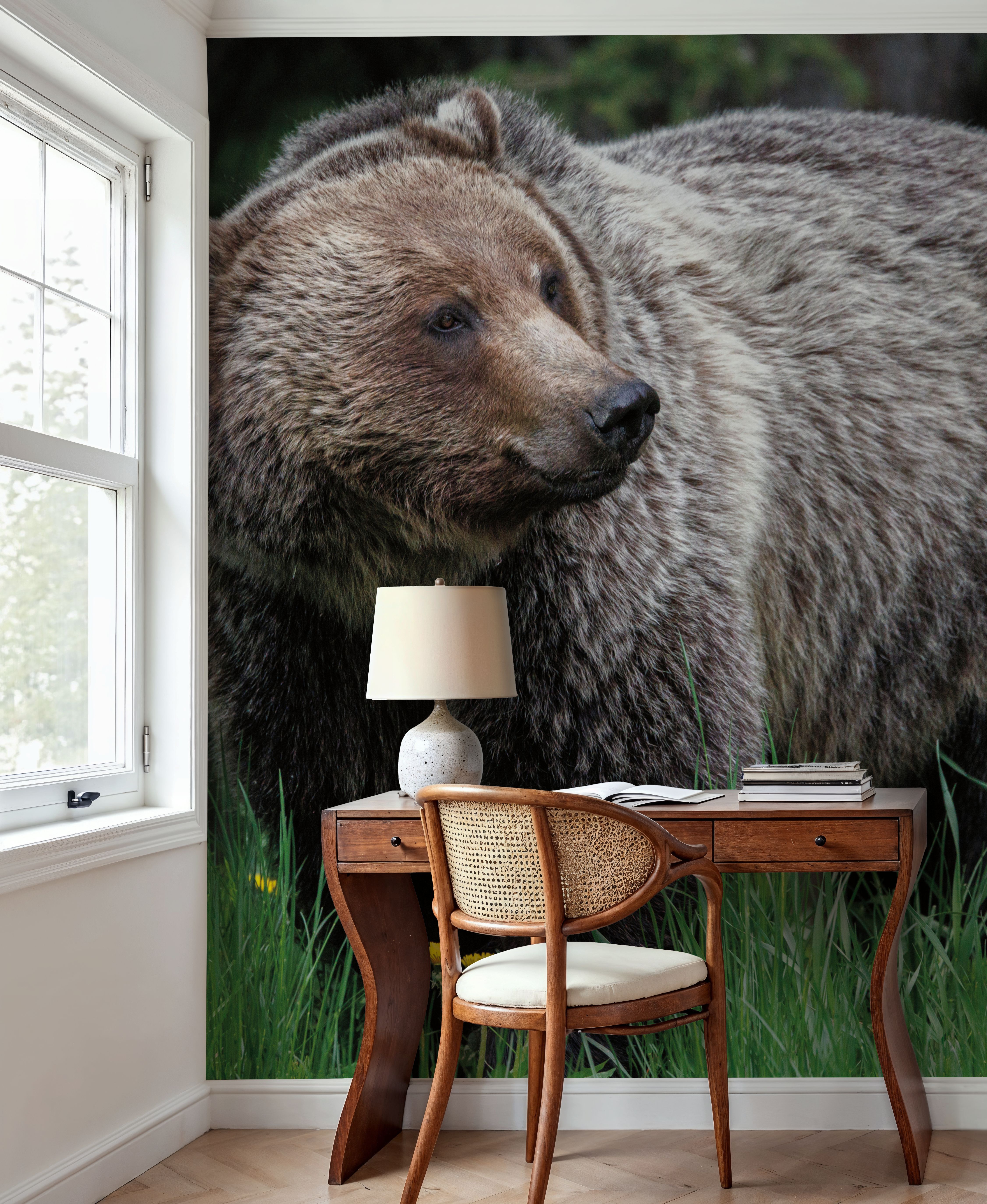 British Columbia Grizzly in a Field