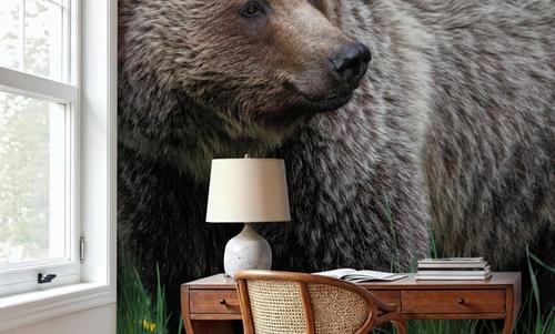 British Columbia Grizzly in a Field