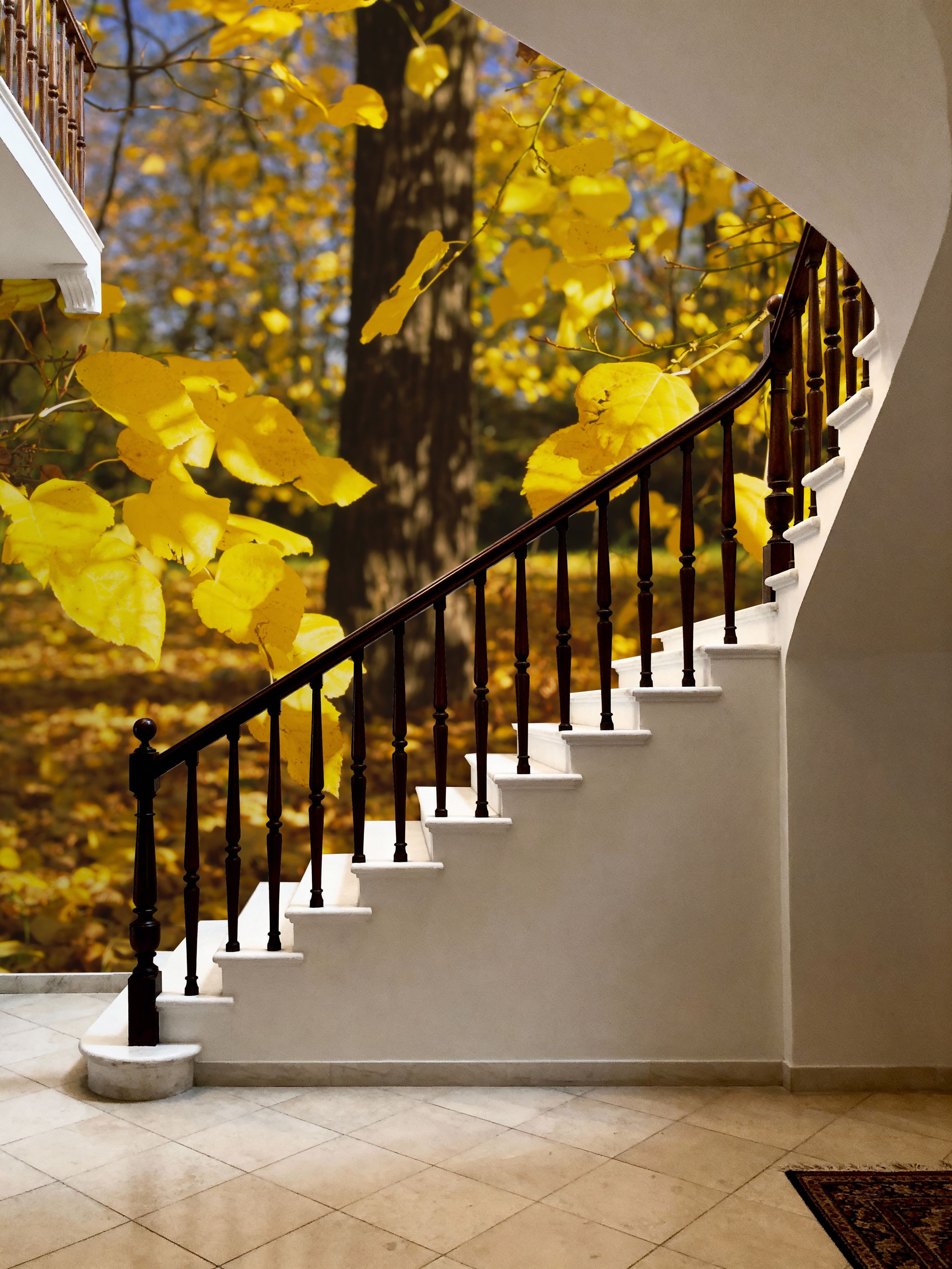 Autumn Radiance