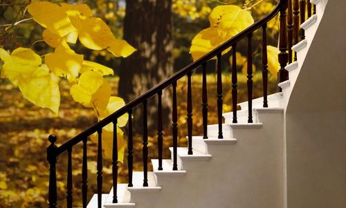Autumn Radiance