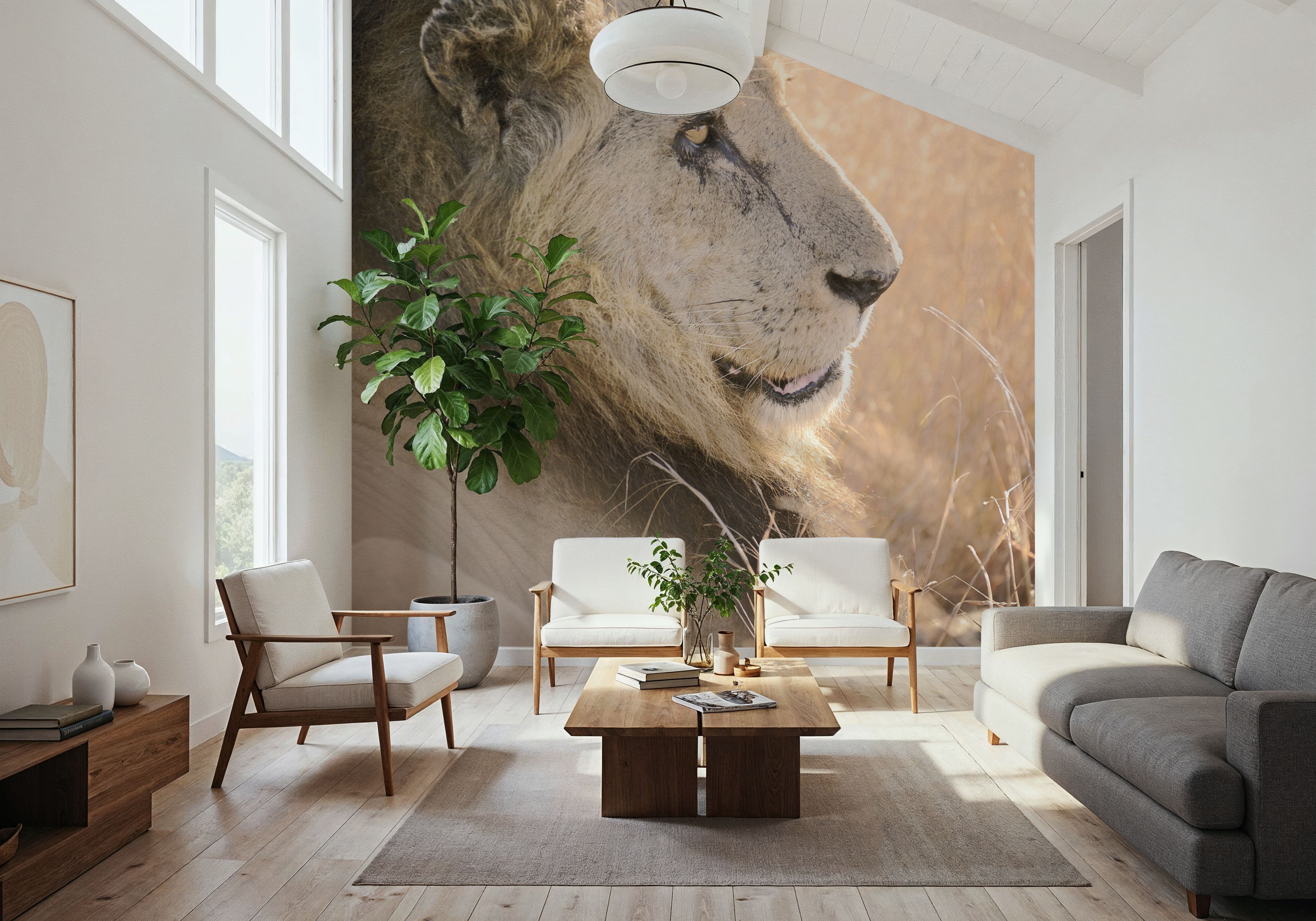 Old Lion