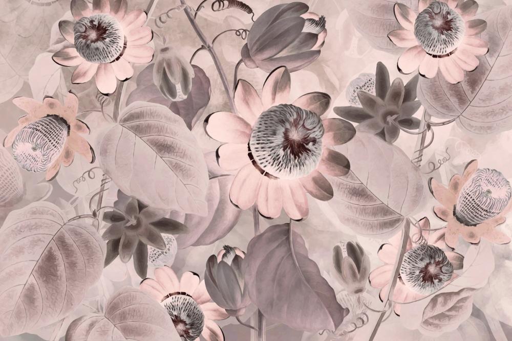 Passifloras Emerging Bright Coral