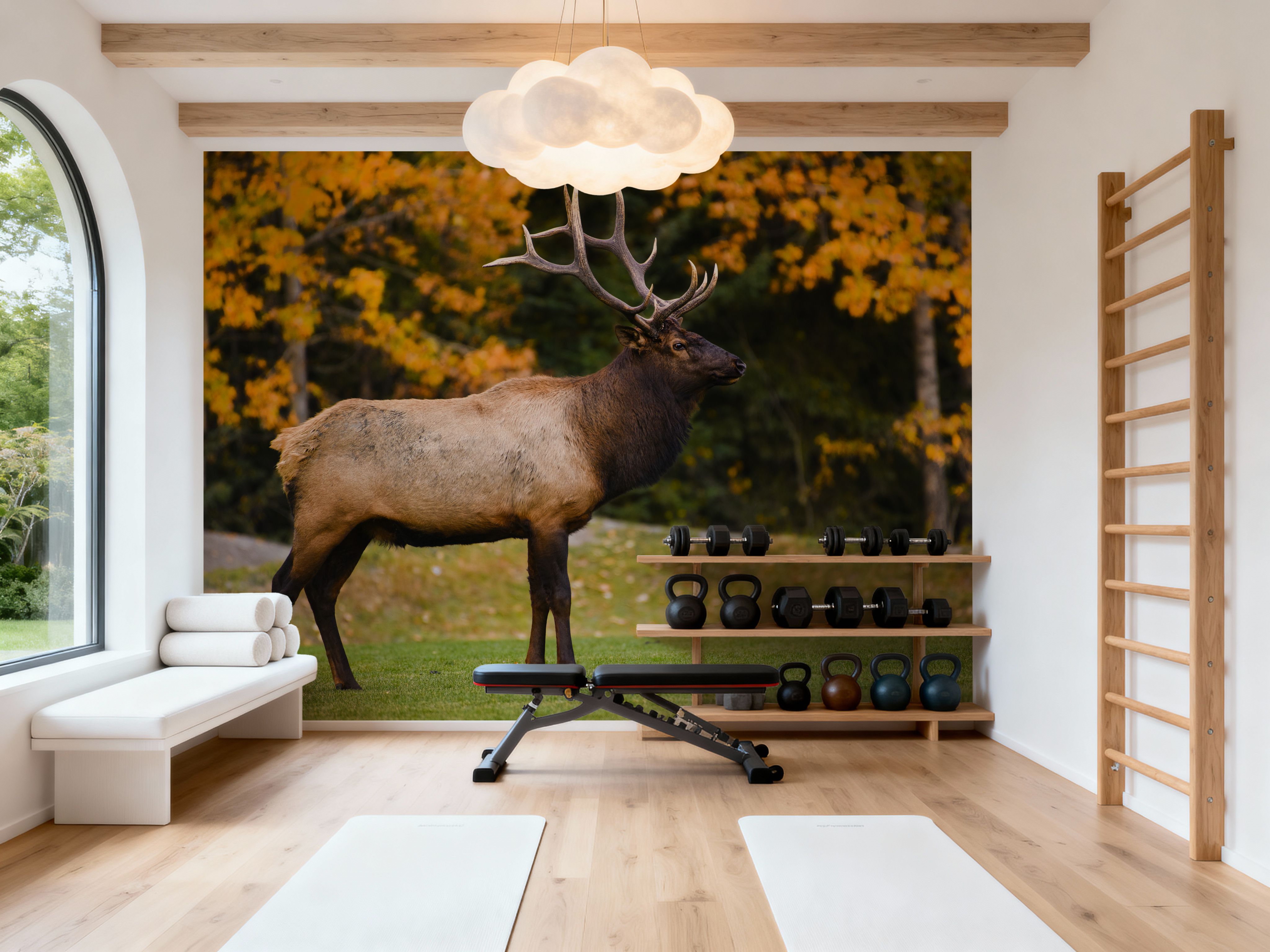 Bull Elk
