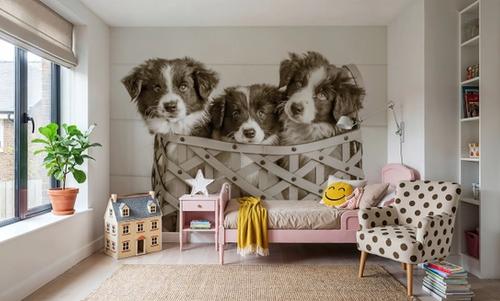 What a Cute Bundle