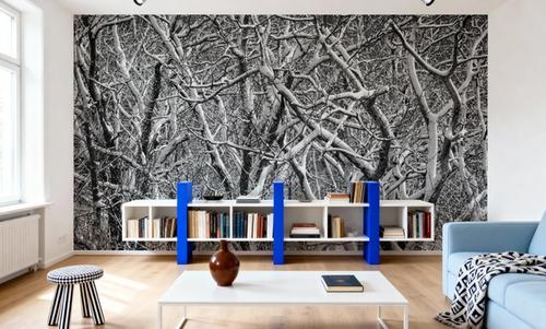 Snow Branches