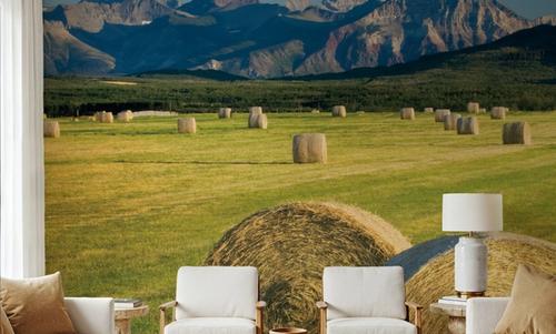 Hay Bales