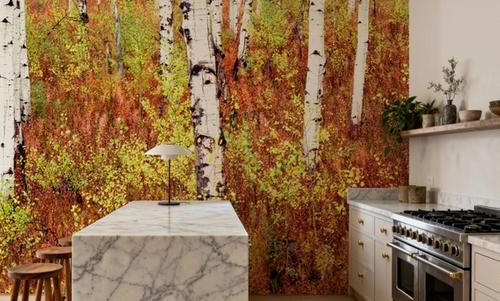 Autumn Birch Haven