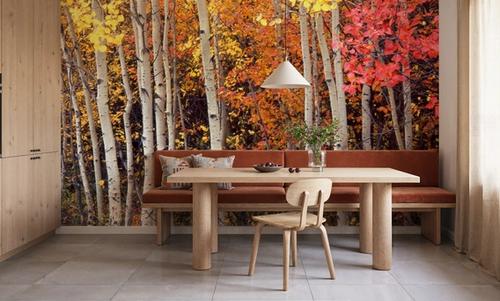Autumn Aspen Grove