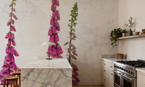 Foxgloves
