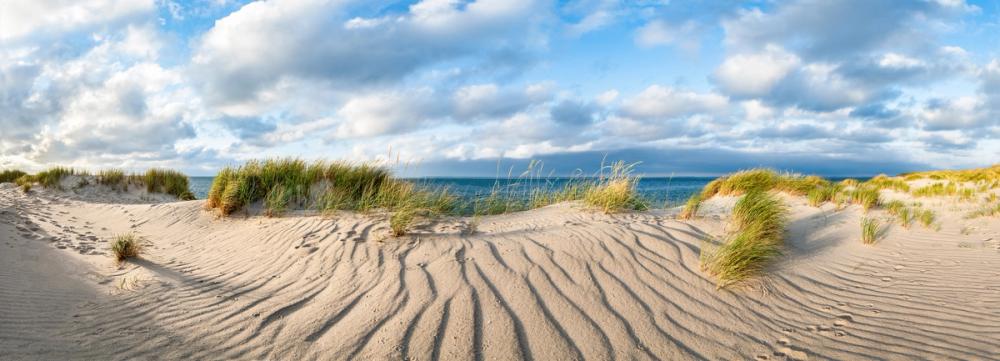 Dunes and Skies
