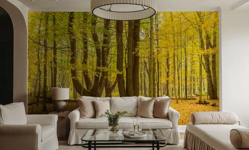 Letchworth Autumn