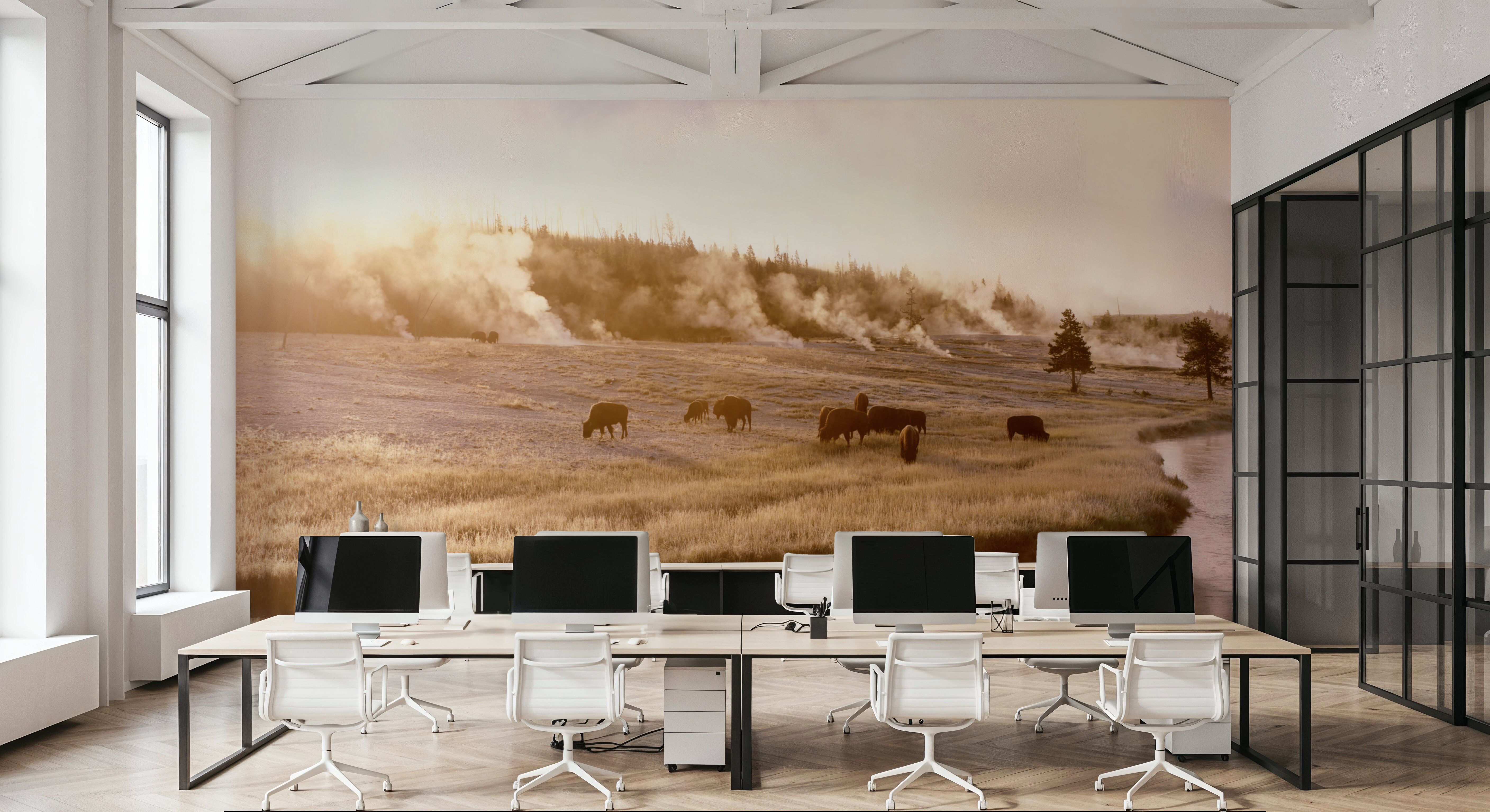 Bison Firehole River