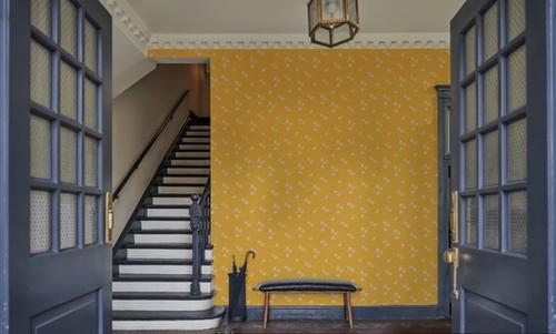 Chartaceous Yellow