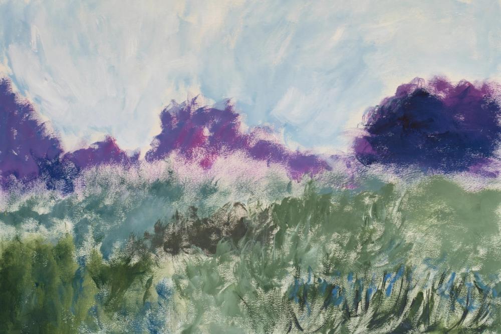 Impressionsitic Meadow