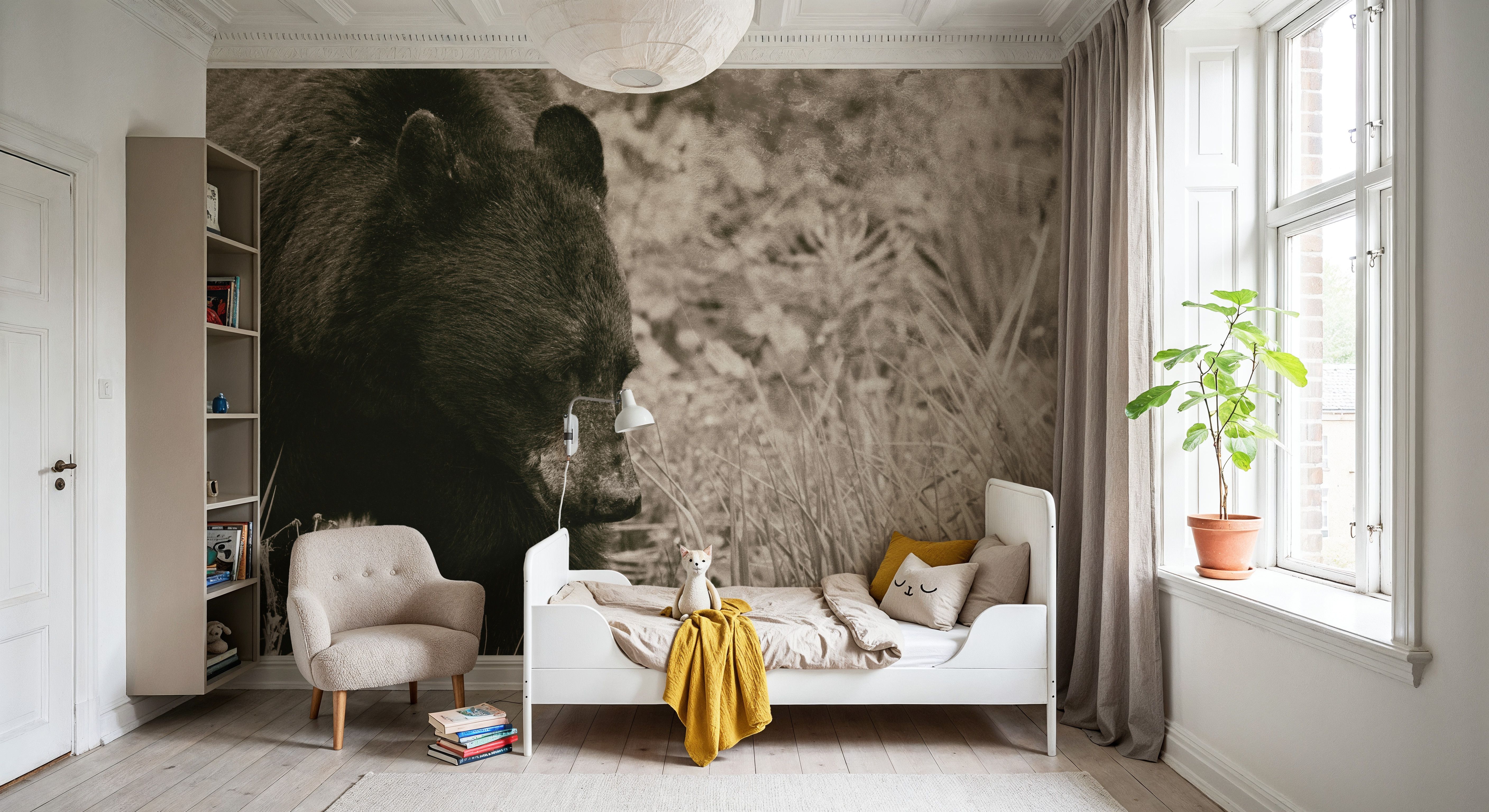 Black Bear Wander