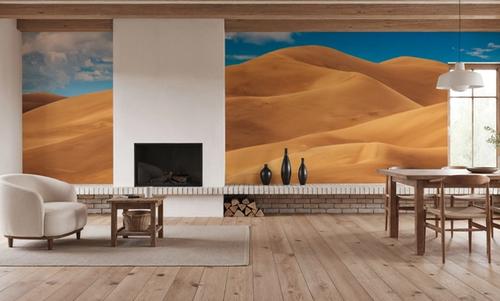 Great Sand Dune of Colorado