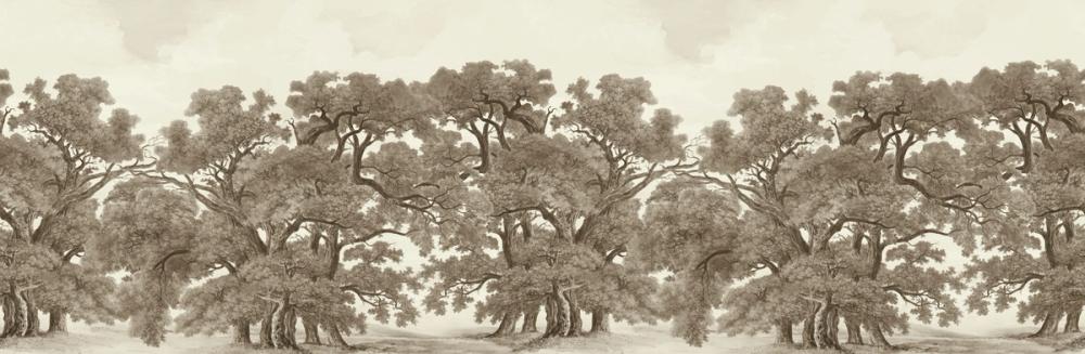 Oak Haven, Umber