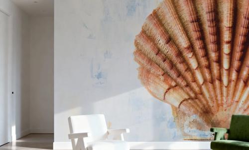 Seashell