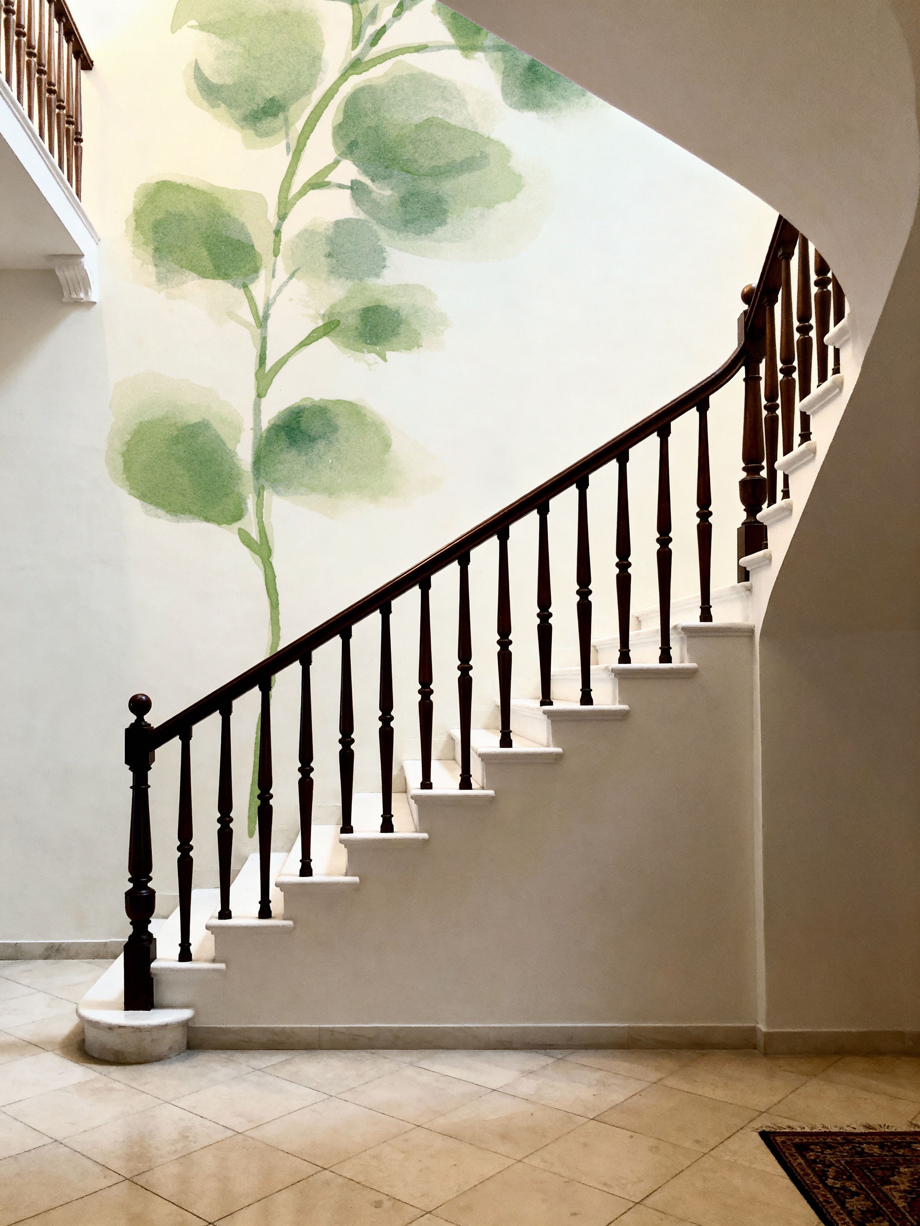 Eucalyptus I
