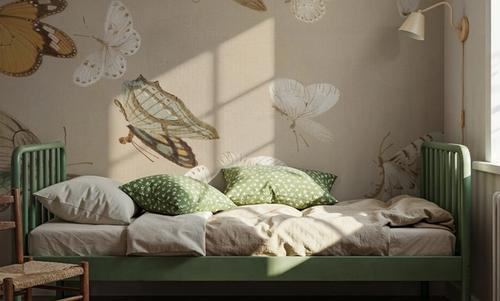 Chrysanthemum Butterflies
