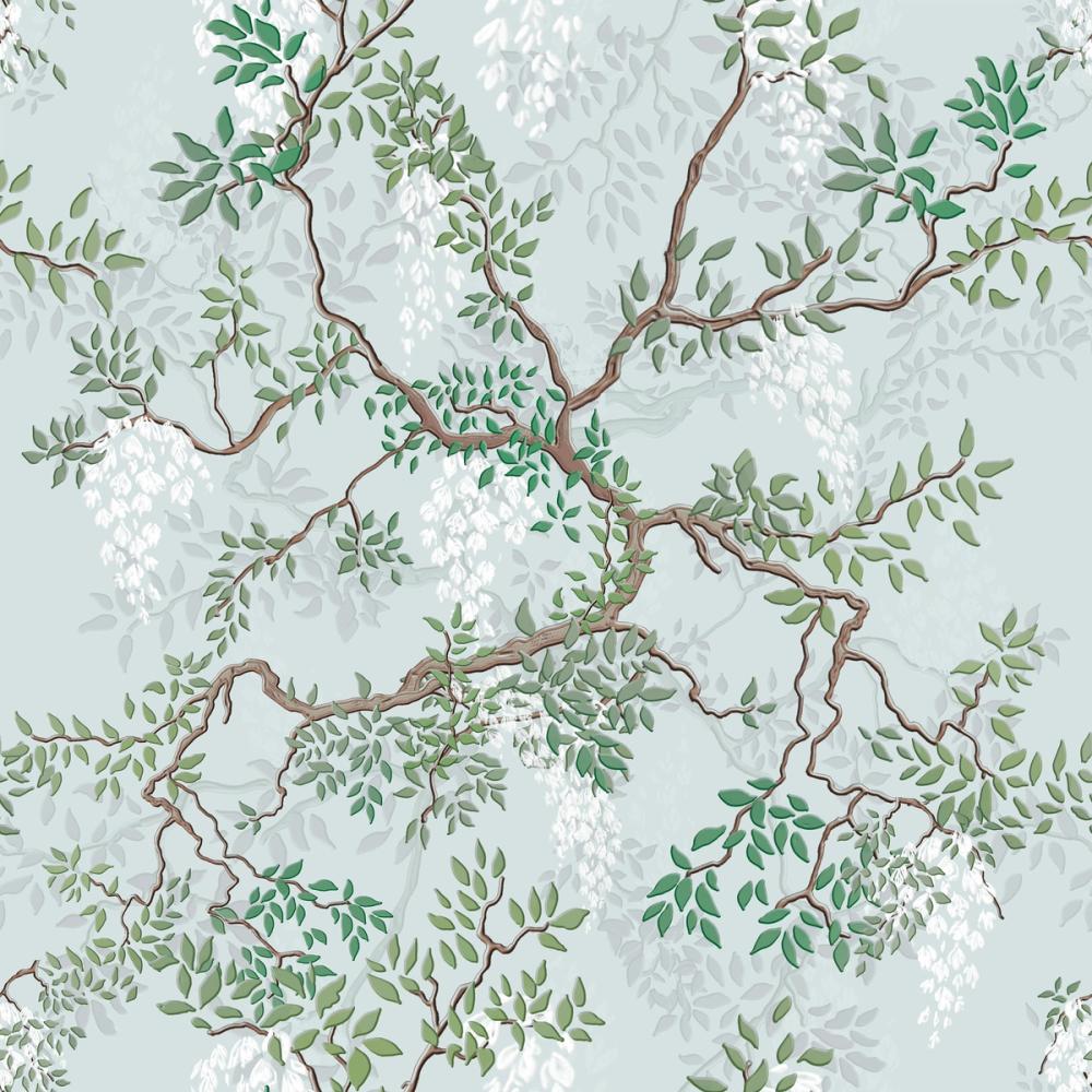 Climbing Wisteria, Sky