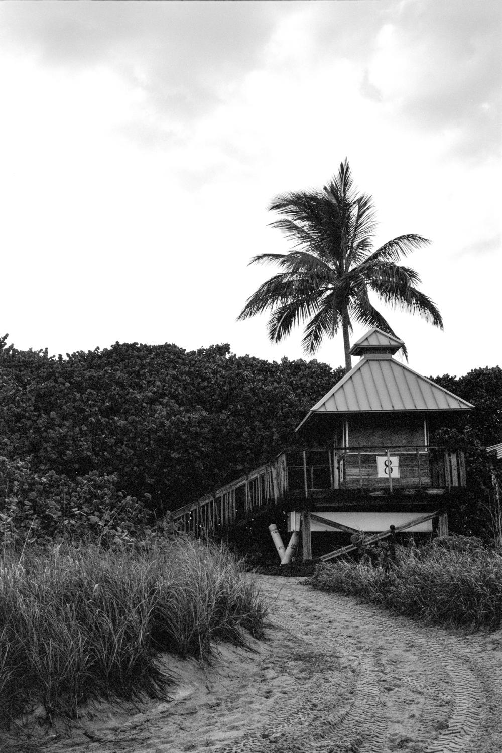 Sea Breeze I