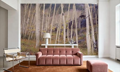 Aspen Grove Serenity