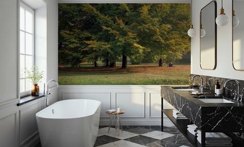 Autumn Bicycle Haven