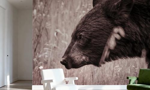 Black Bear in British Columbia Sepia Tones