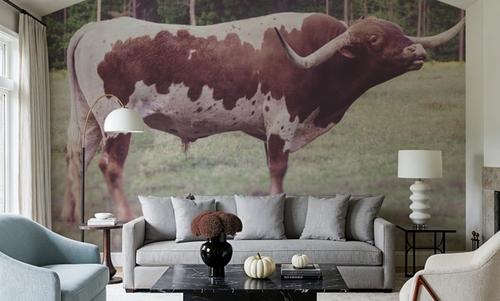 Longhorn Bull