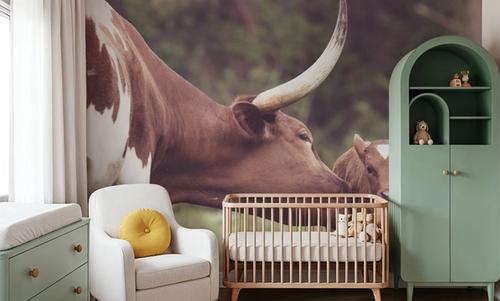 Longhorn Pasture Pair
