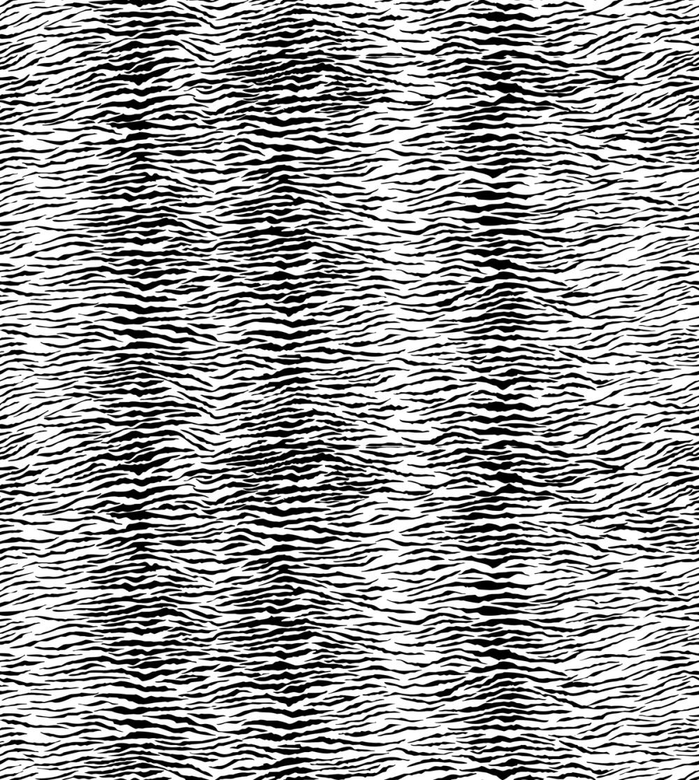 Panthera Tiger, White