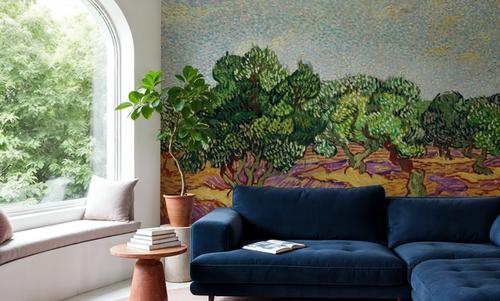 Olive Trees