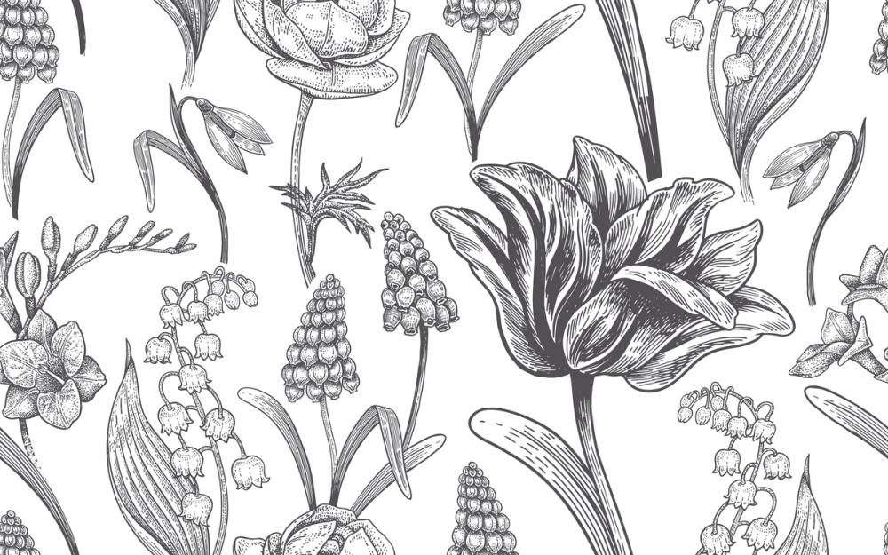 Spring Flower Sketching