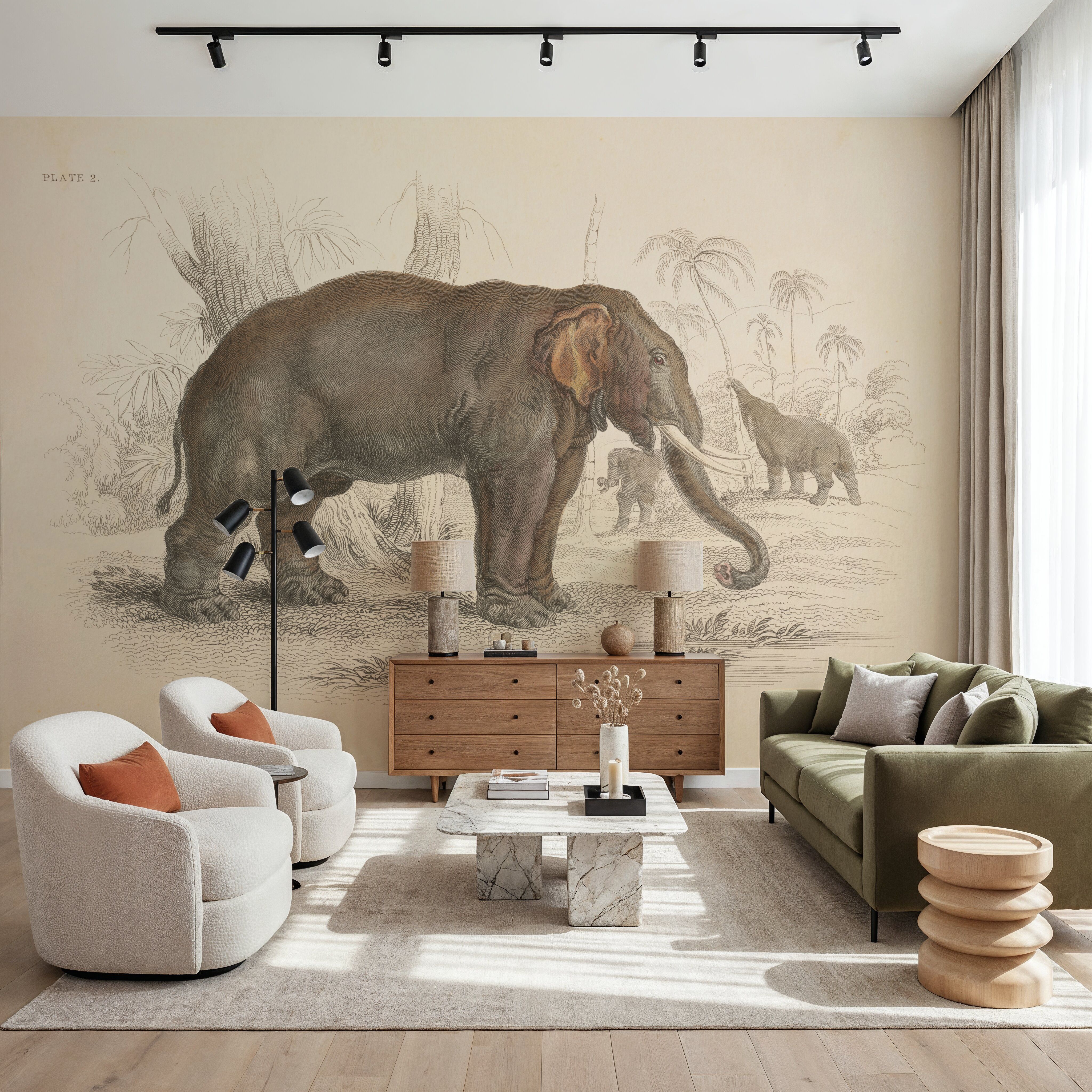 Animals of Africa III