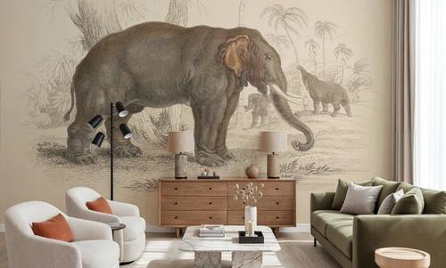 Animals of Africa III