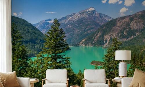 Diablo Lake I