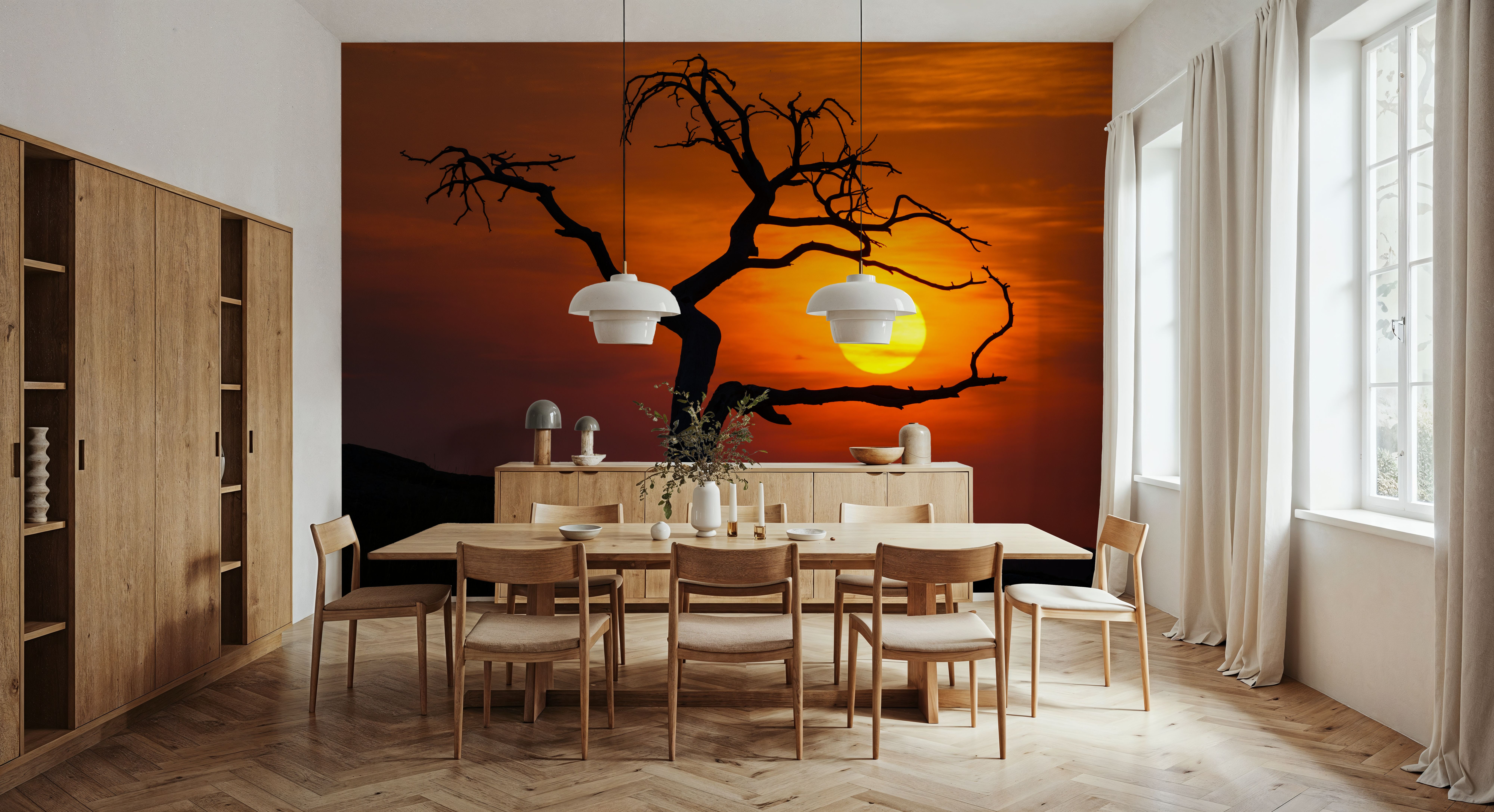 Pinus Flexilis Sunset