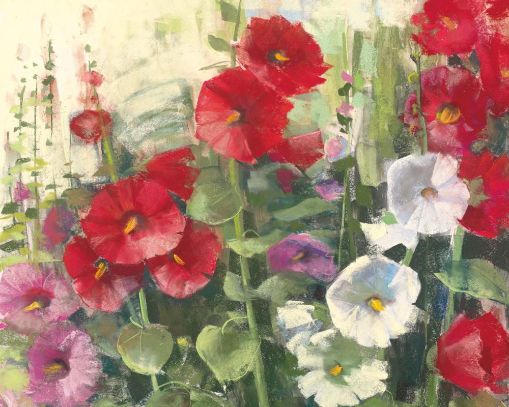 Hollyhocks