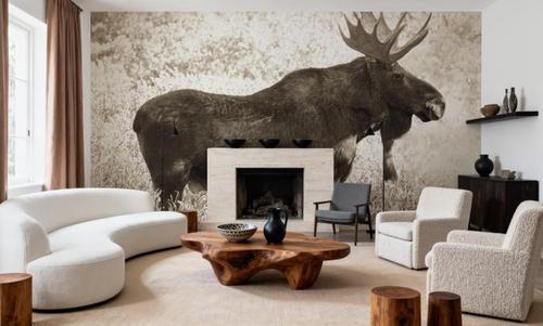 Medicine Bow Moose II