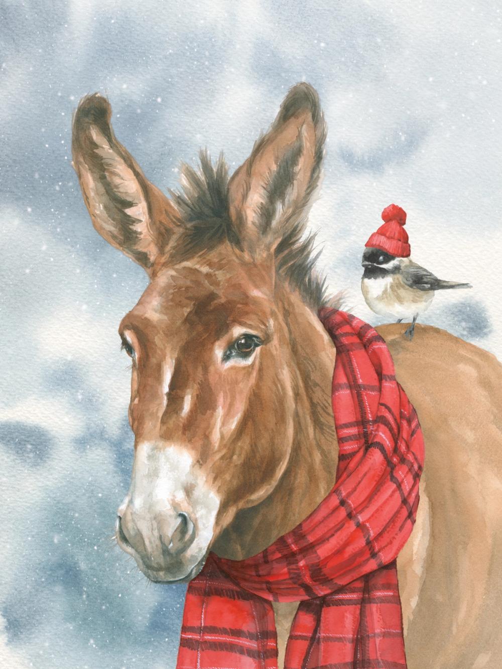 Winter Donkey