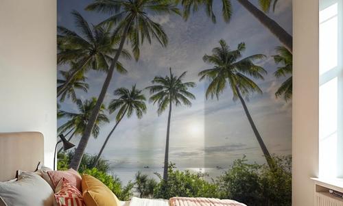 Palm Horizon