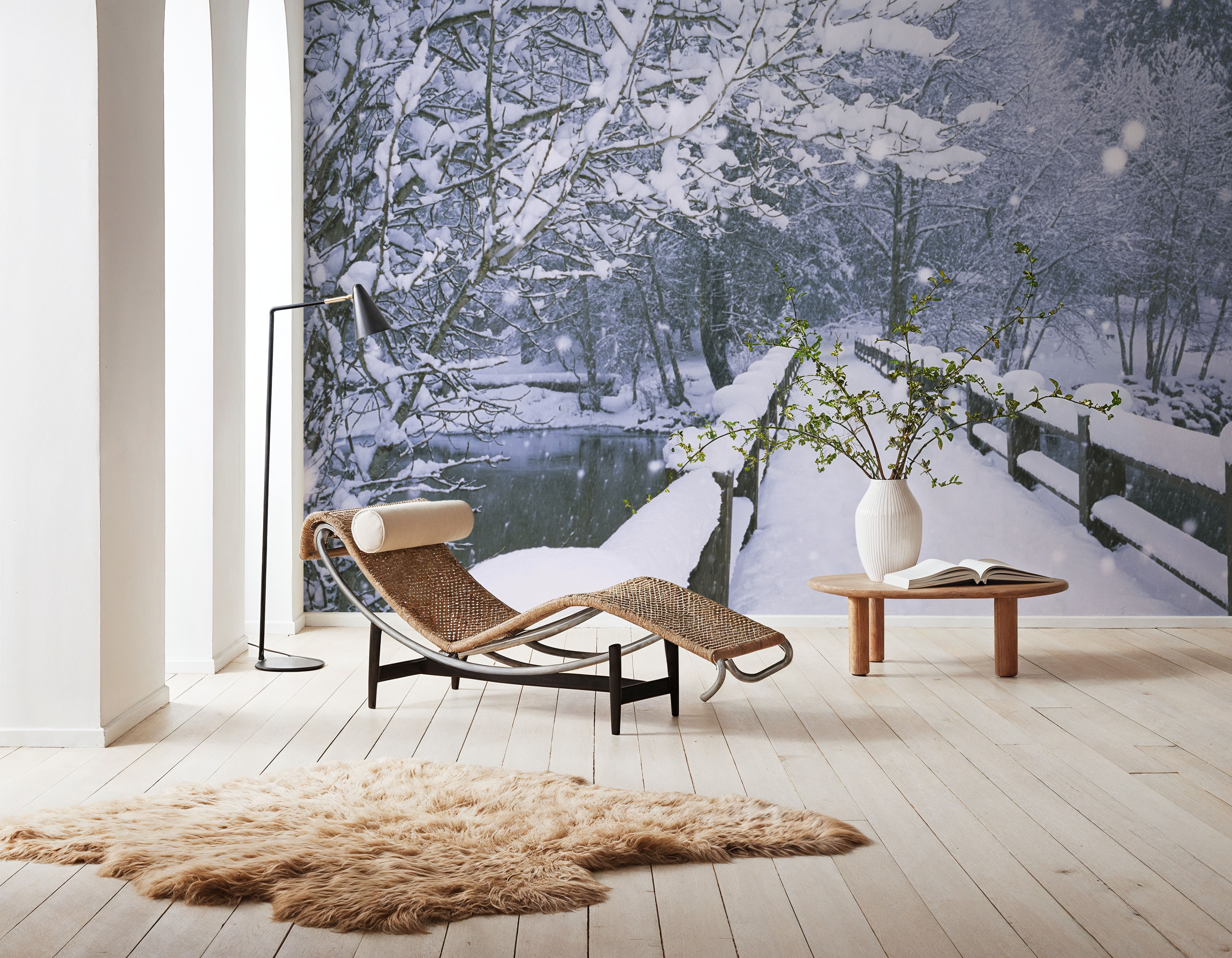 Winter Bridge Serenity