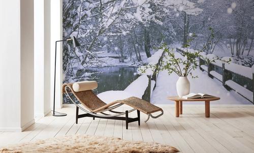 Winter Bridge Serenity