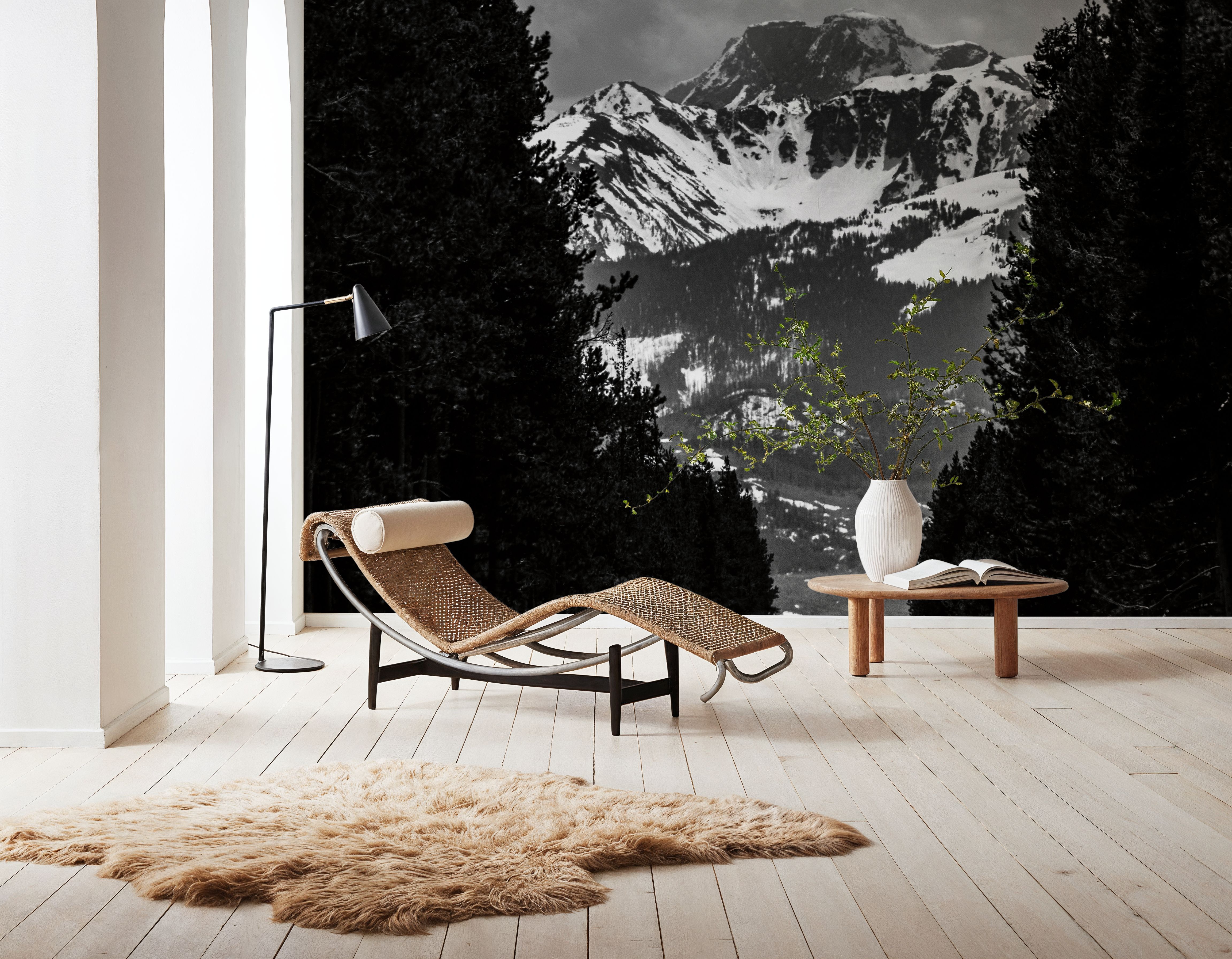 Driving into the Tetons