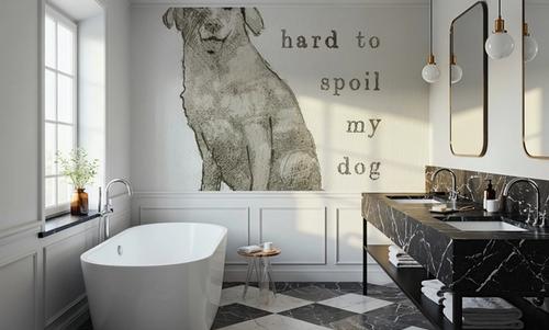 Canine Couture Quote
