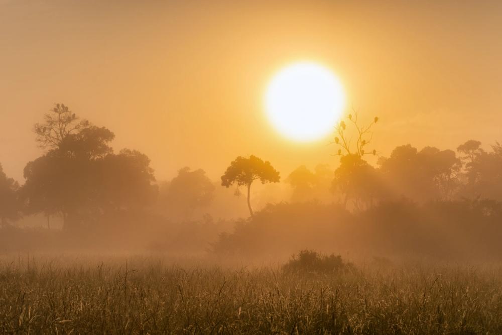 Masai Mara Sunrise