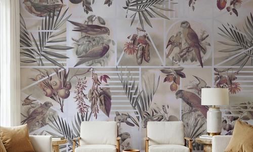 Parrots Study